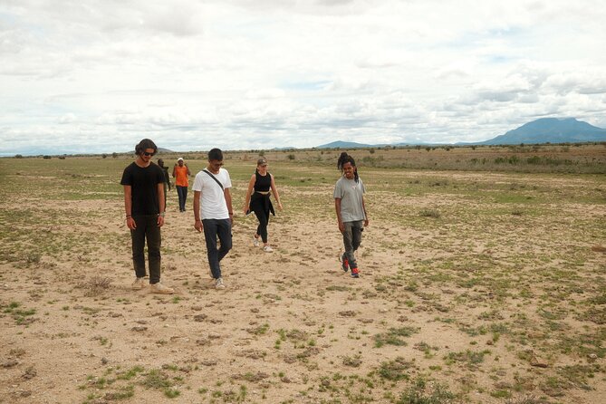 Walking Day Tour to Safari in Arusha National Park - Key points at a glance