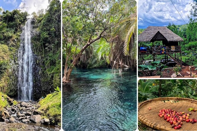 Waterfall, coffee tour & hot springs - lunch and drinks included - Key points to know before booking