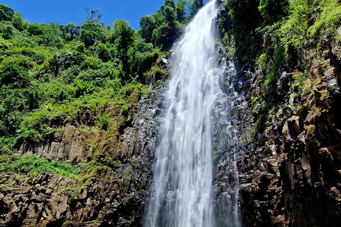 Waterfall, coffee tour & hot springs - lunch and drinks included - Who should book this tour?