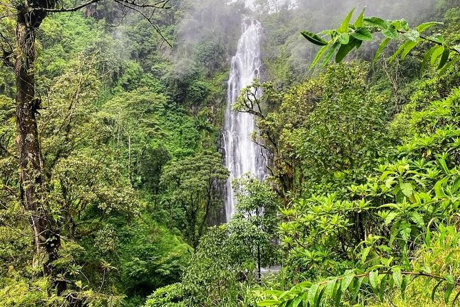 Waterfall, coffee tour & hot springs - lunch and drinks included - Timing, fitness, and what to bring