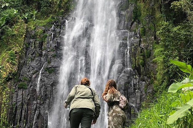 Waterfall & Coffee Walking Tour - Who should book this Materuni day trip?