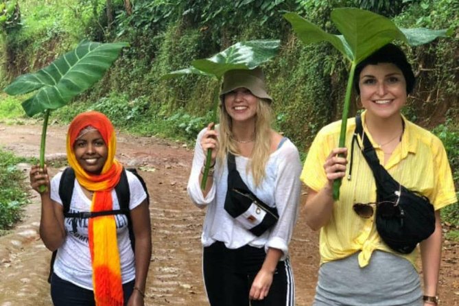 Waterfalls, Coffee, Hotsprings, Food Cuisine, & Serval Wildlife - Is $350 per person good value?