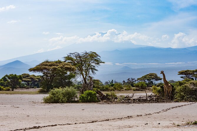 West Kilimanjaro cycling Adventures - Guides, organization, and an important caution