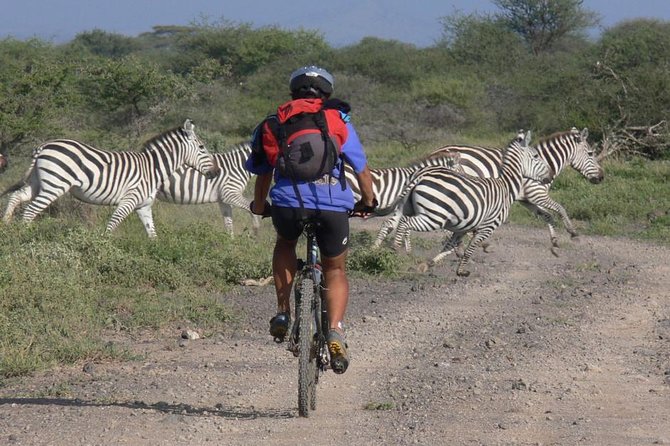 West Kilimanjaro cycling Adventures - Mt. Kilimanjaro views without climbing the mountain