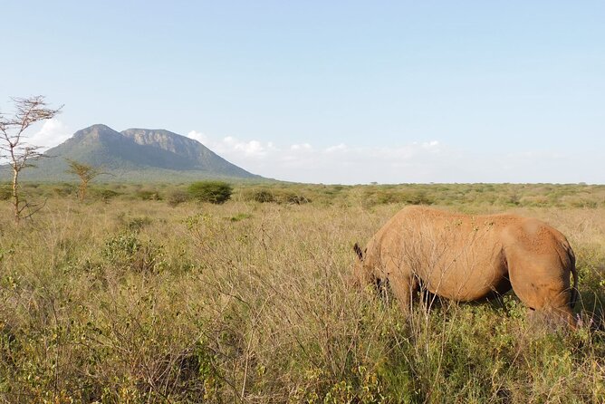 Wildlife Safari Tanzania - Camps, meals, and daily comfort