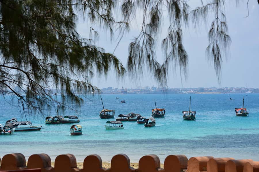 Zanzibar : 1 Day Blue Safari, Blue horizon experience - Why this Blue Safari works as a full day on the water