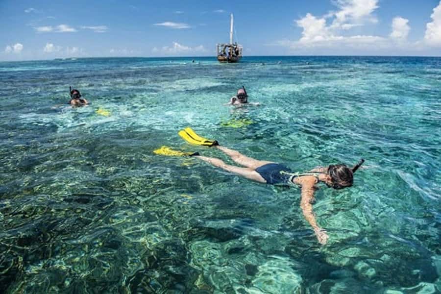 Zanzibar : 1 Day Blue Safari, Blue horizon experience - Setting out by traditional Arab dhow