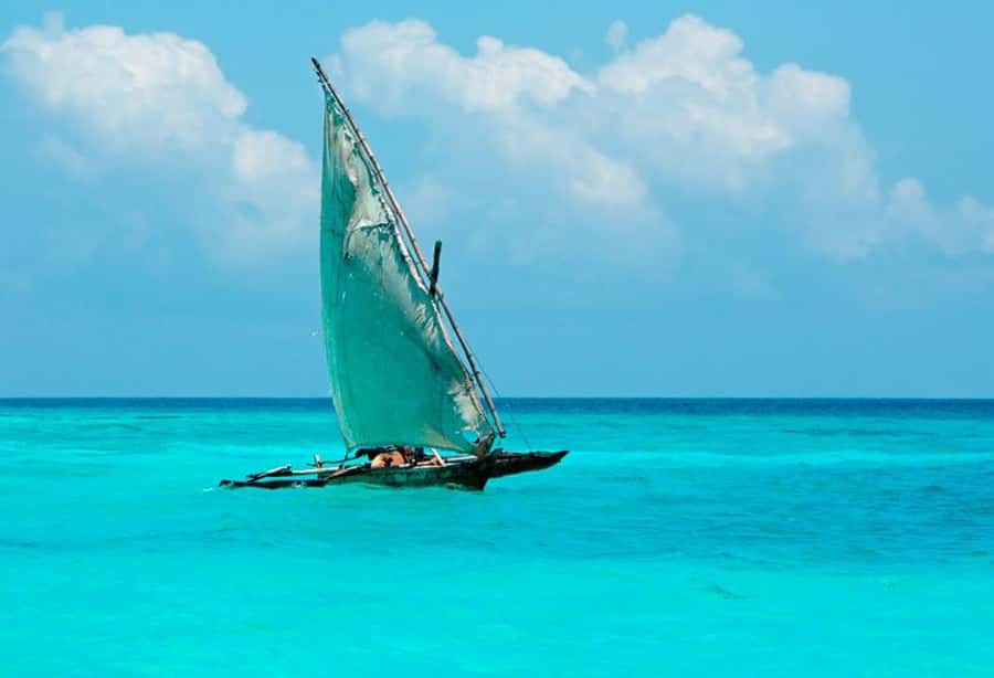 Zanzibar : 1 Day Blue Safari, Blue horizon experience - The giant baobab tree on Kwale Island