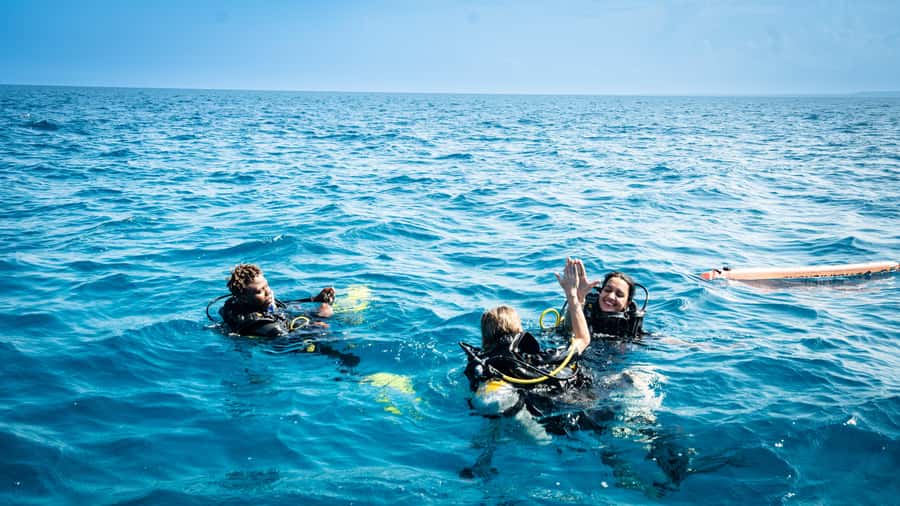 Zanzibar: 1 Day Blue Trip with 2 Stunning Scuba Dives - What $120 buys you