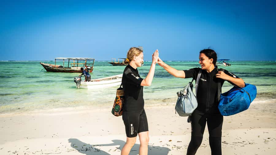 Zanzibar: 1 Day Blue Trip with 2 Stunning Scuba Dives - Who should book this Matemwe outing?