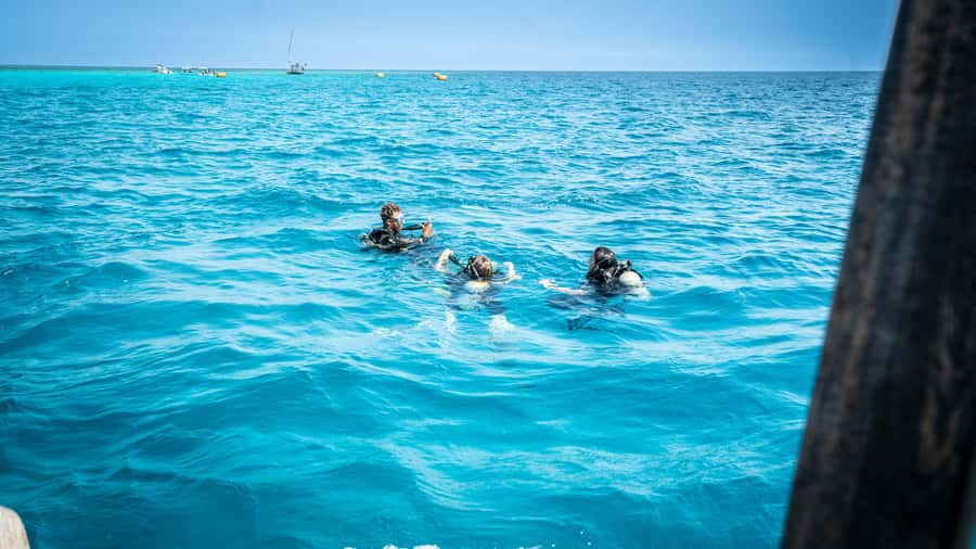 Zanzibar: 1 Day Blue Trip with 2 Stunning Scuba Dives - What the high ratings tell you, and what they do not