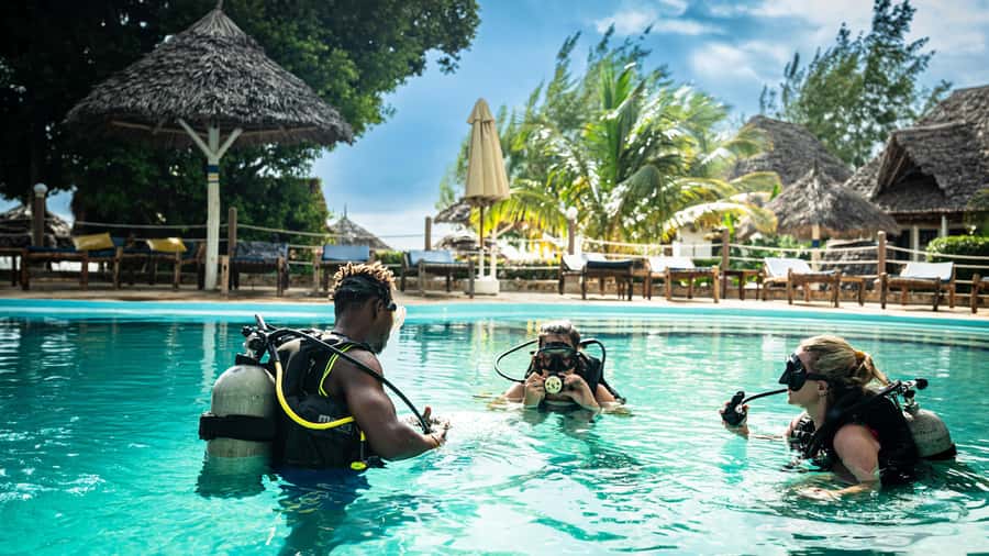 Zanzibar 1 Day Scuba Diving Course for Beginners with Lunch - A light lunch keeps the middle of the day easy
