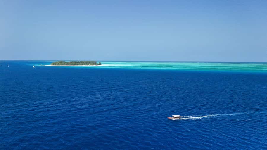 Zanzibar 1 Day Scuba Diving Course for Beginners with Lunch - What the six-hour schedule feels like