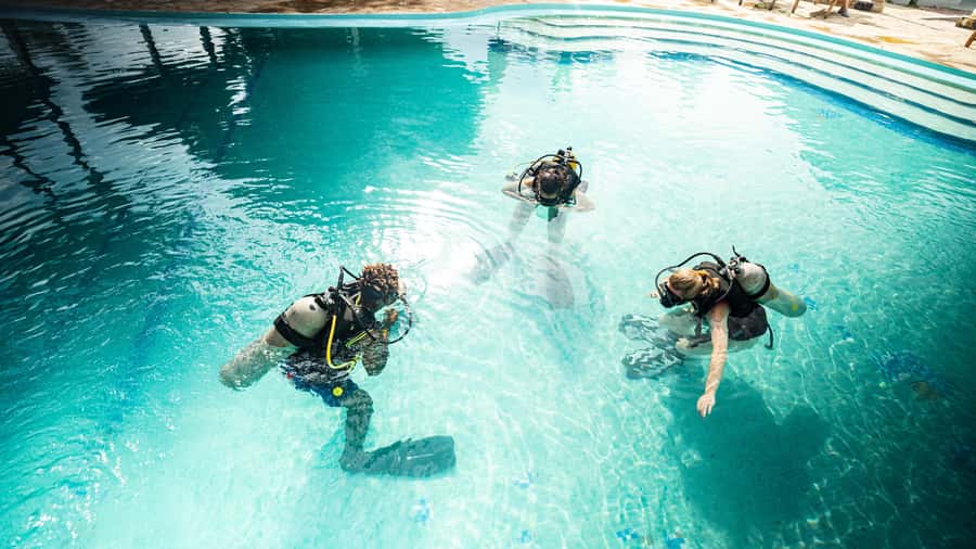 Zanzibar 1 Day Scuba Diving Course for Beginners with Lunch - The people matter more than the fish