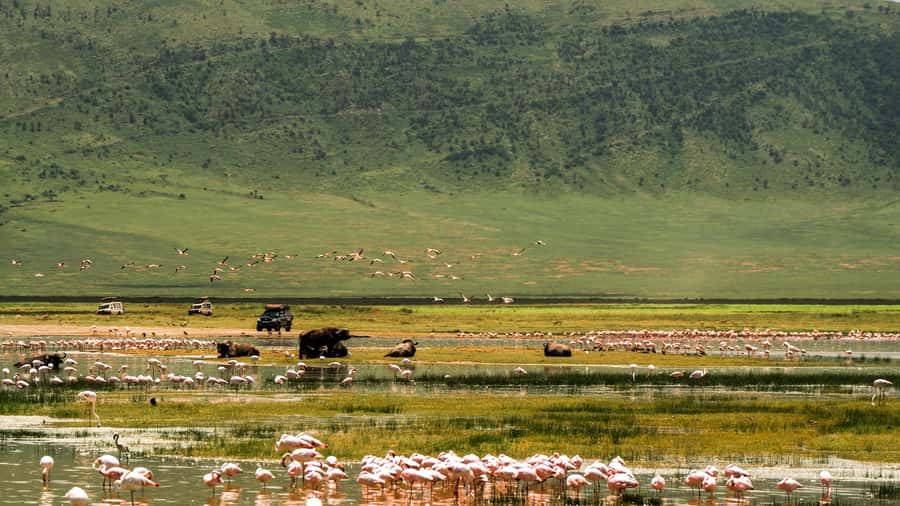 Zanzibar: 3-Day Northern Safari with Flights Included - Who should book this three-day route
