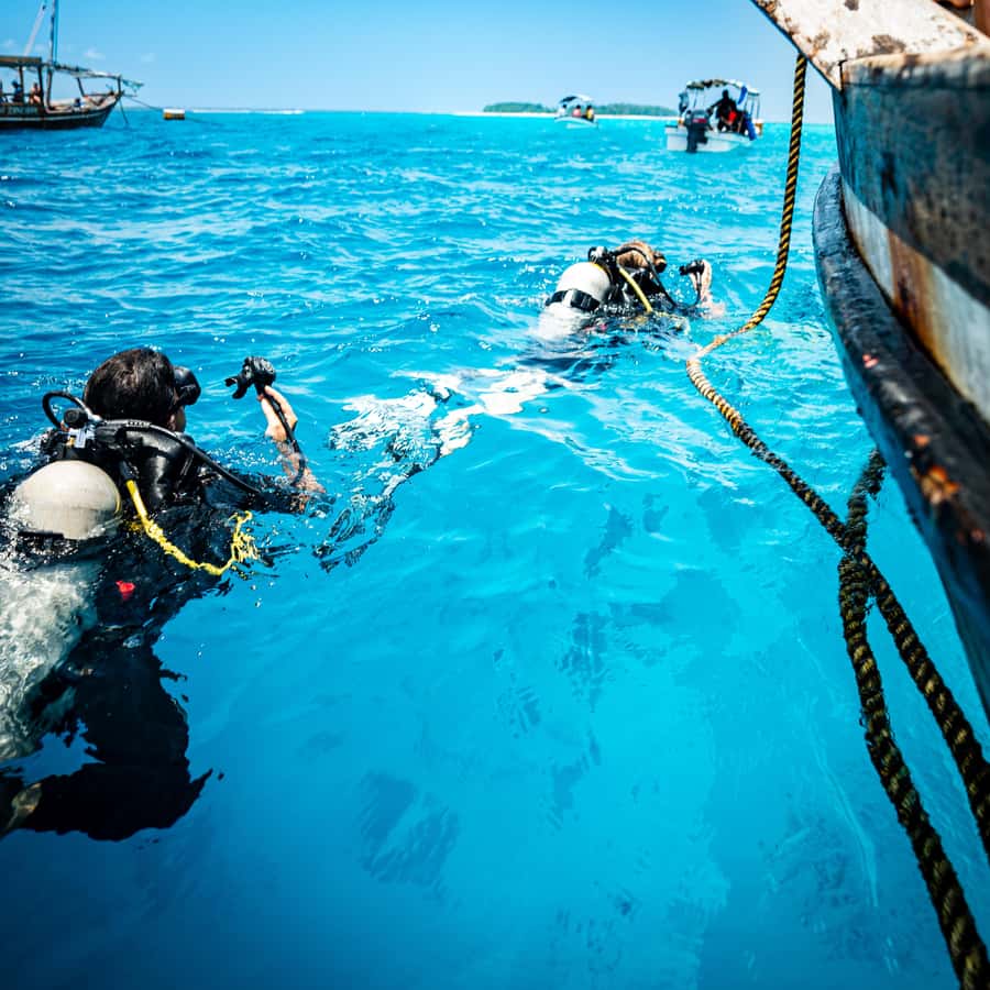 Zanzibar : 3-Day PADI Open Water Scuba Diving Adventure - Zanzibar’s Indian Ocean as your classroom