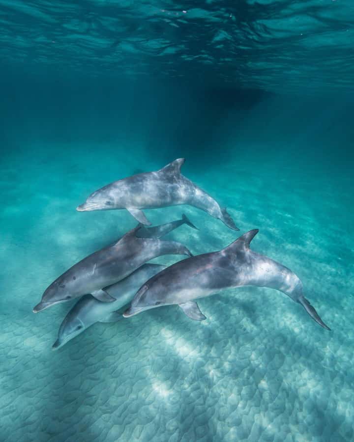Zanzibar: 3-Day Tour with Snorkeling Adventure with Lunch - Nakupenda Sandbank turns lunch into an attraction