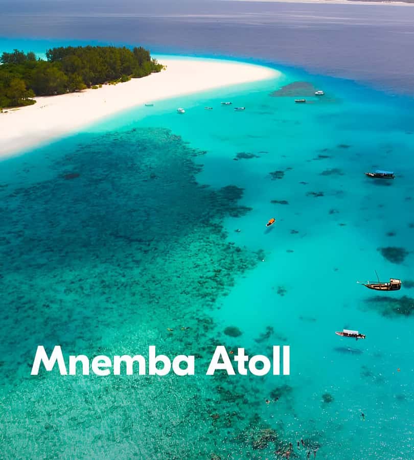 Zanzibar: 3-Day Tour with Snorkeling Adventure with Lunch - Prison Island and its giant tortoises