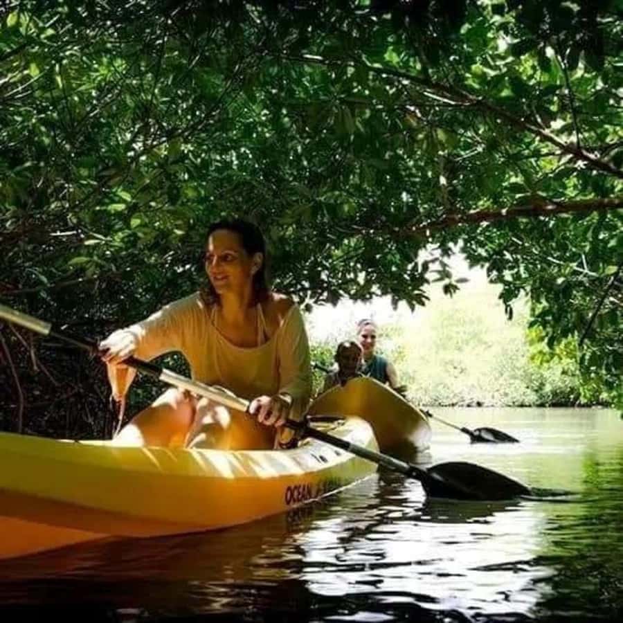 Zanzibar: 3-hour Kayak Tour through the Mangrove Forest - Key points at a glance