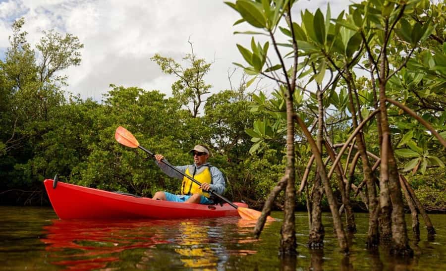 Zanzibar: 3-hour Kayak Tour through the Mangrove Forest - Starting at Unguja Ukuu Kaepwani