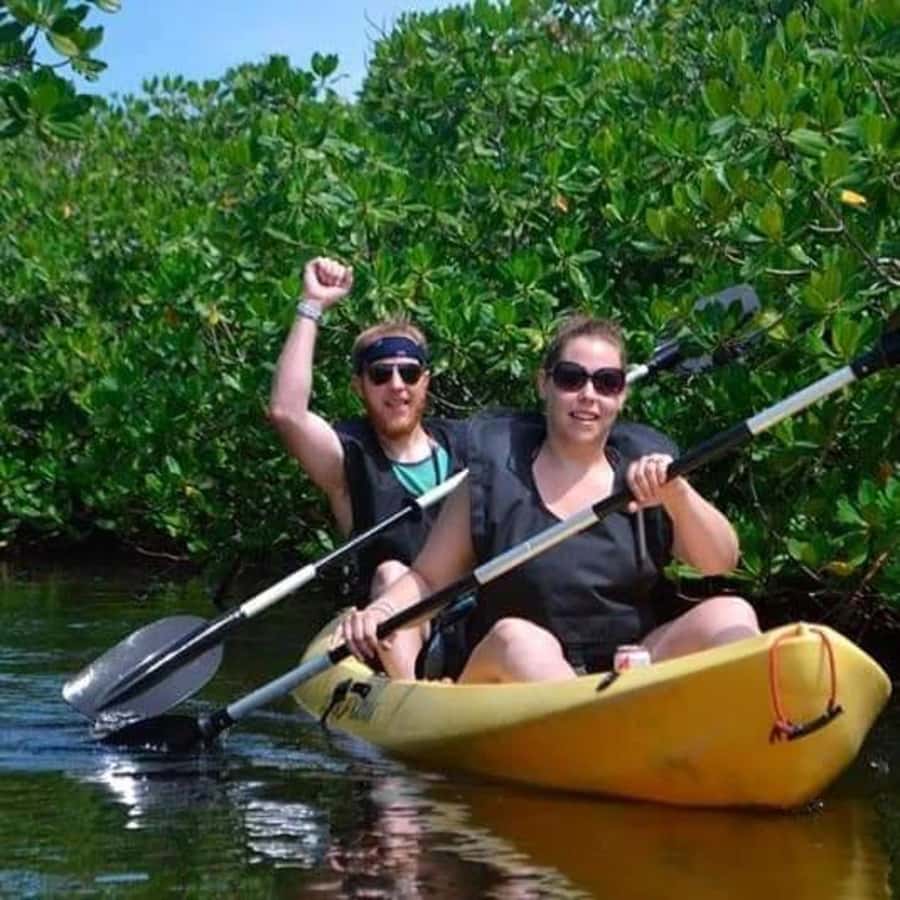 Zanzibar: 3-hour Kayak Tour through the Mangrove Forest - From sheltered channels to open coastal water