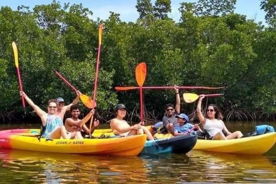 Zanzibar: 3-hour Kayak Tour through the Mangrove Forest - Paddling into the mangrove forest