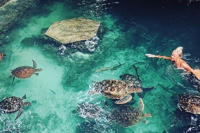Zanzibar Adventures - Who gets the best value at $80?