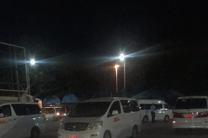 Zanzibar Airport Transfers Pickup and Drop off - Arrival and departure use