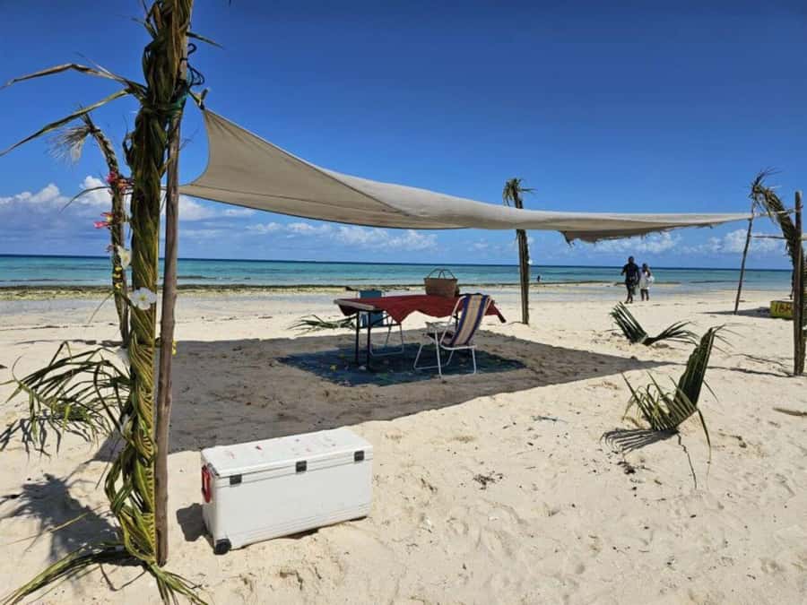 ZANZIBAR:Amazing tour Nakupenda SandBank with fruits - Swimming and snorkeling over live coral