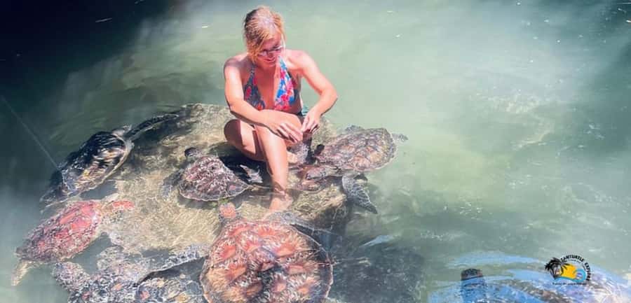 Zanzibar: Baraka Aquarium Feed, Swim & Snorkel with Turtles - Key points to know before you go