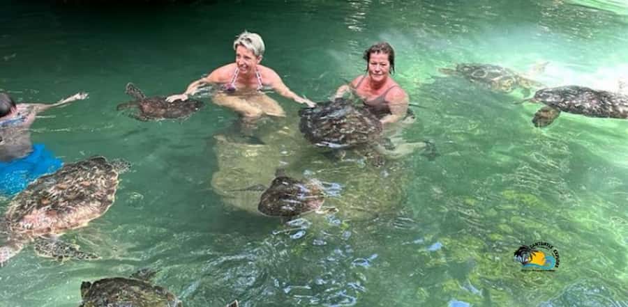 Zanzibar: Baraka Aquarium Feed, Swim & Snorkel with Turtles - Languages, access, and booking flexibility
