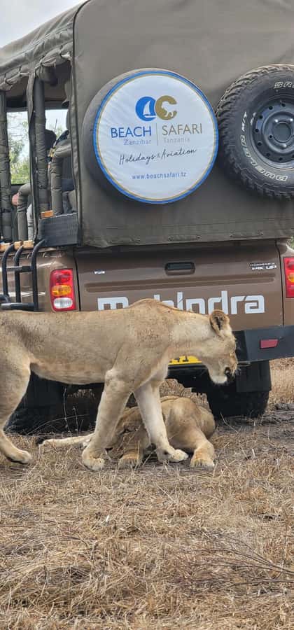 Zanzibar: Best Selous Day Safari with Flights & Lunch - Coffee, tea, and a bush lunch at 12:30
