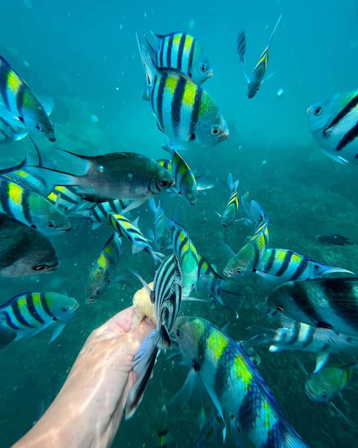 Zanzibar: Blue Lagoon, Rock Restaurant, Cave, and Beach Trip - FAQ