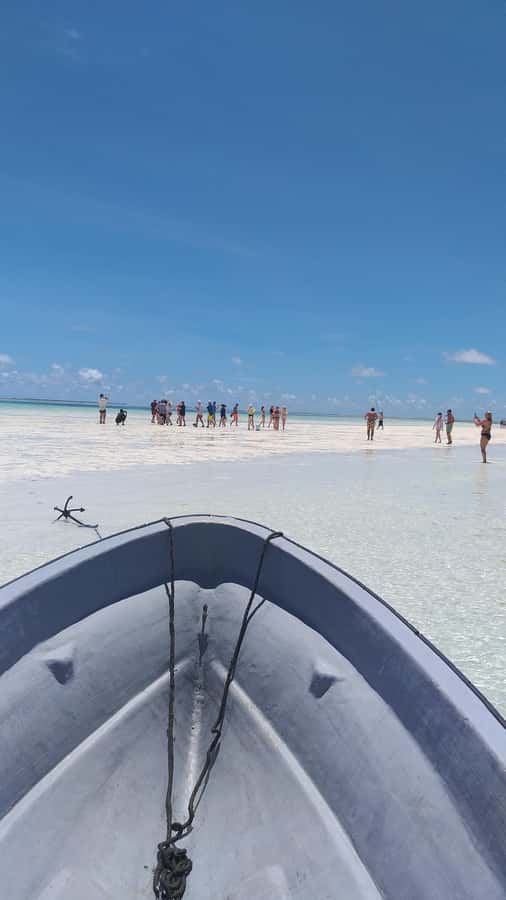Zanzibar: Blue lagoon & Starfish - Snorkeling Among Fish and Coral