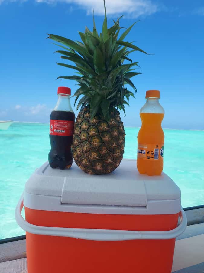 Zanzibar: Blue lagoon & Starfish - Sandbank Walks and Shore Time