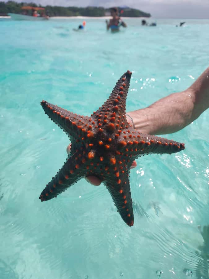 Zanzibar: Blue lagoon & Starfish - Guides, Languages, and the Level of Service