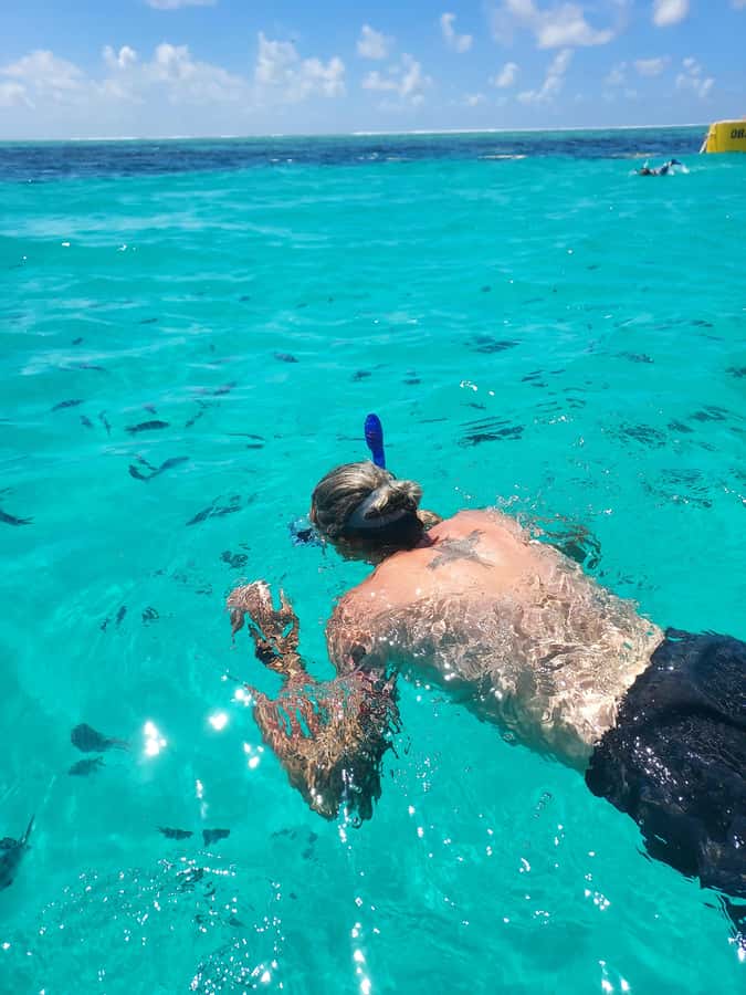 Zanzibar: Blue lagoon & Starfish - Who Will Enjoy This Best?