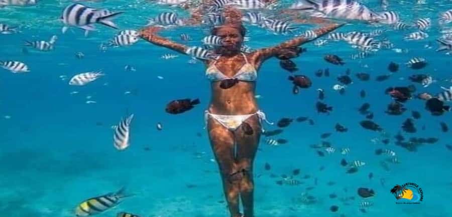 Zanzibar: Blue Lagoon, Starfish and Jozani Forest Tour - Seeing starfish at Michamvi Beach