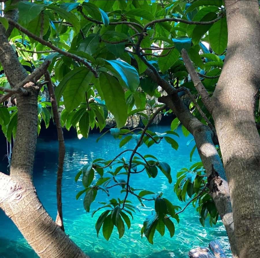 Zanzibar: Blue lagoon, Starfish, Paje Beach and Maalum Cave - A full day on Zanzibar’s southern coast