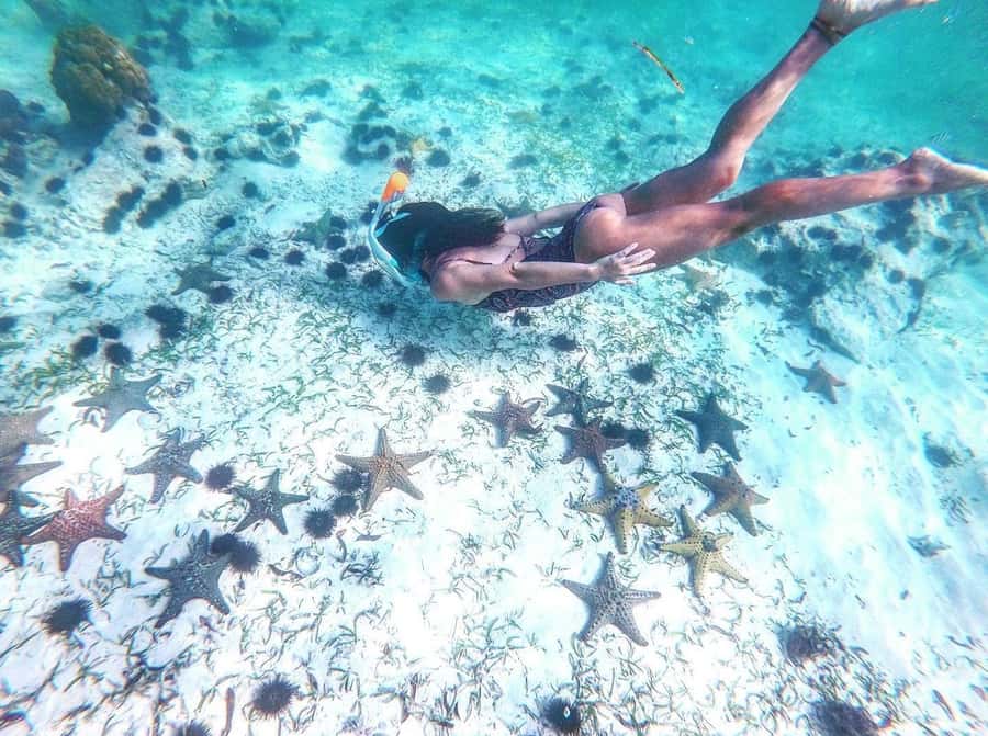 Zanzibar: Blue lagoon, Starfish, Paje Beach and Maalum Cave - Blue Lagoon snorkeling and the Starfish Garden