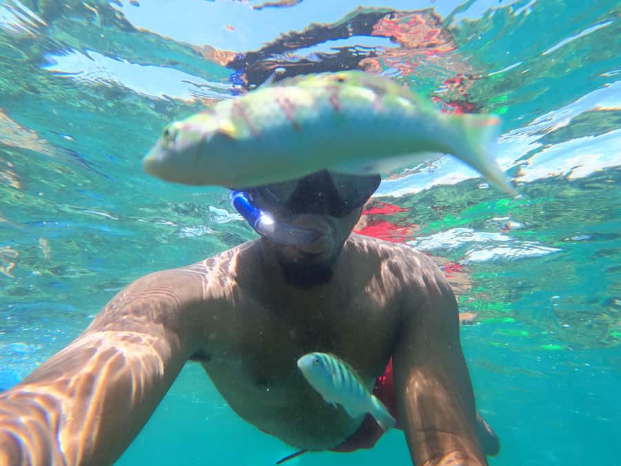 Zanzibar: Blue lagoon, Starfish, Paje Beach and Maalum Cave - Who should book this southern Zanzibar tour?