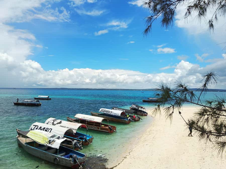 Zanzibar: Changuu Island and Stone Town Tour with Lunch - Why this five-hour Zanzibar tour works