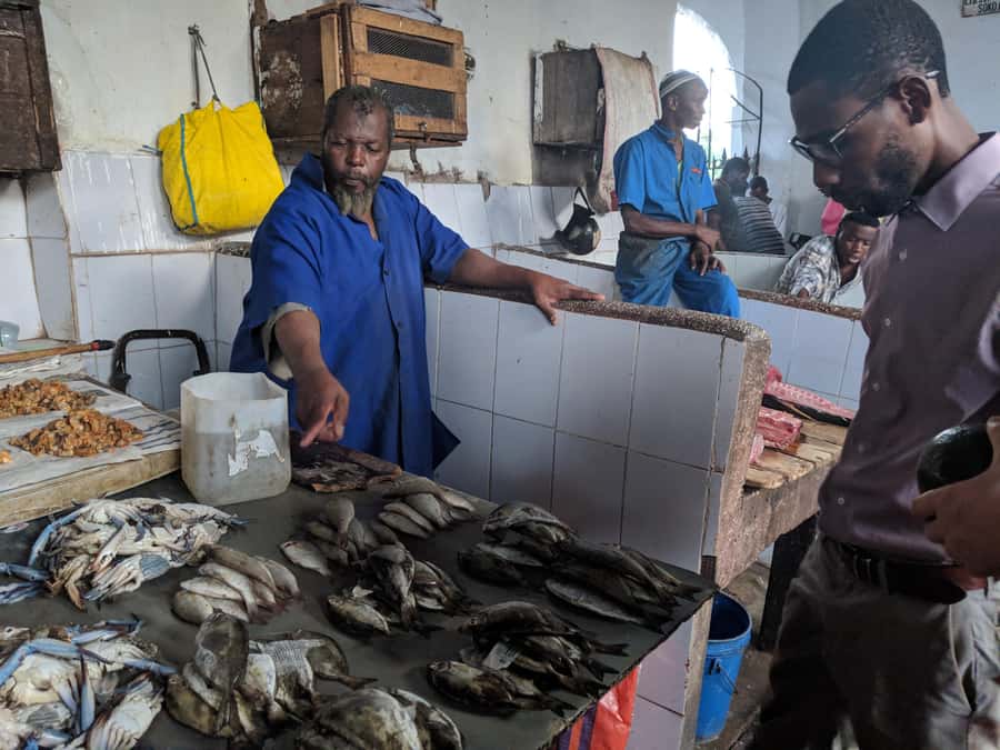 Zanzibar: Changuu Island and Stone Town Tour with Lunch - Museums, memorials, and Freddie Mercury’s former home