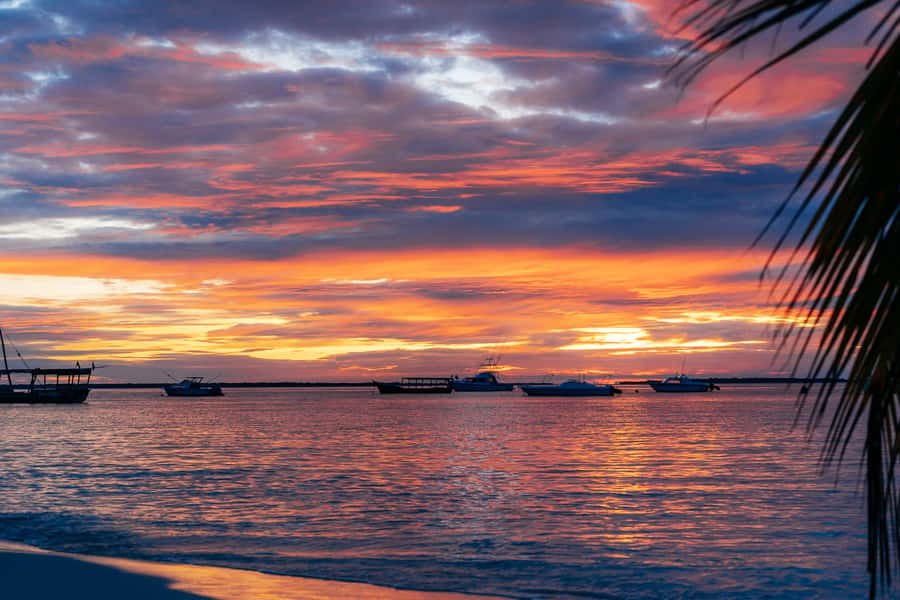 Zanzibar City: Sunset Sailing Tour with Snacks and Drinks - Key points to know before sailing