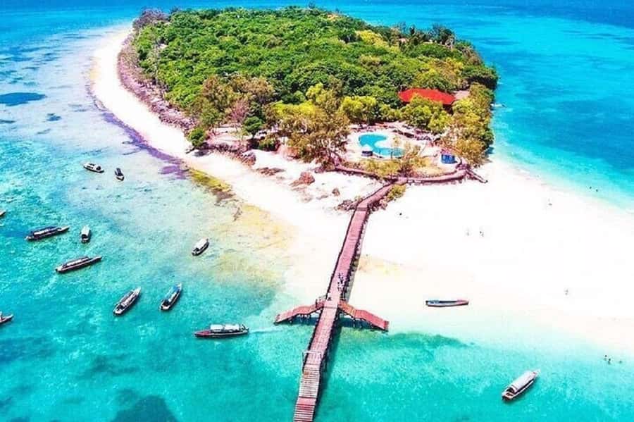 Zanzibar: Combo Zanzi Prison & Nakopenda Island & Stone town - Who will enjoy this combination most