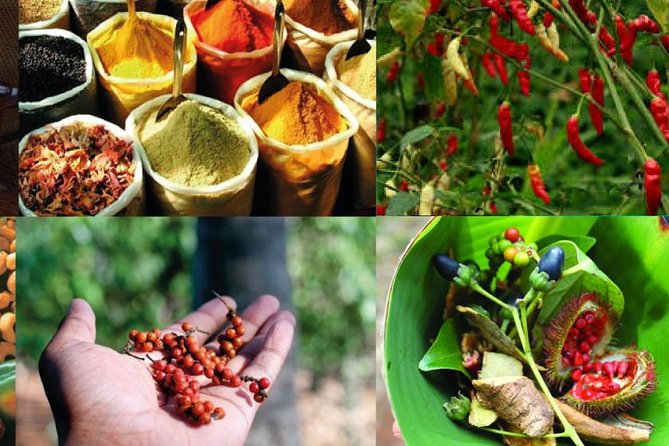 Zanzibar Cooking Class & Spice Tour - Starting at Darajani Market