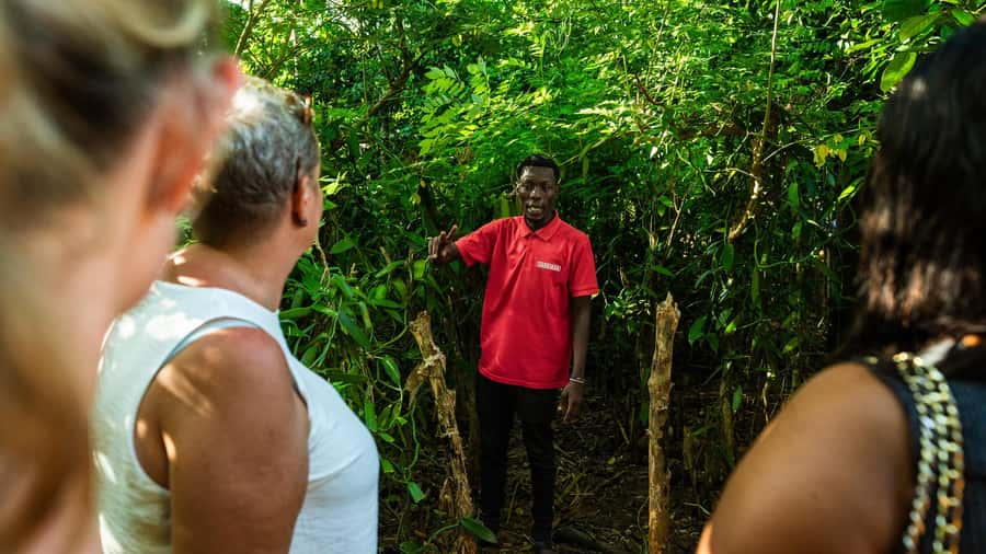 Zanzibar: Day Jozani Forest,Spice Farm,Nature and Savor Tour - The drive makes hotel location important