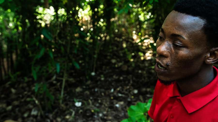 Zanzibar: Day Jozani Forest,Spice Farm,Nature and Savor Tour - Comparing the three ways to book the experience