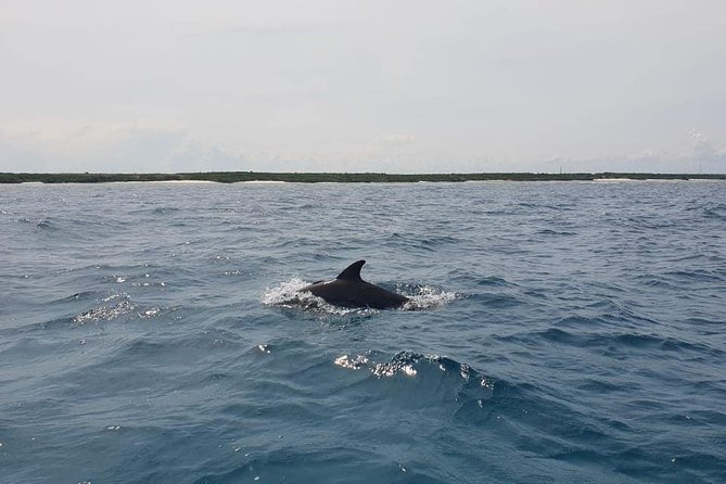 Zanzibar Deep Sea Fishing & Local fishing. - Food, drinks, and what to bring