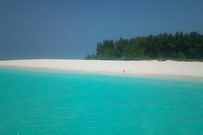 Zanzibar Deep Sea Fishing & Local fishing. - Fishing the Indian Ocean off Zanzibar